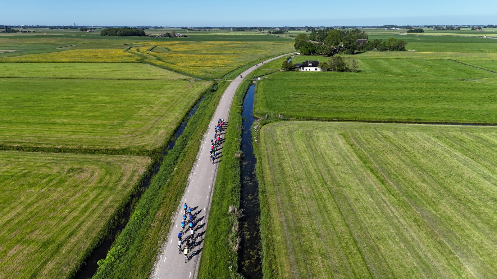 Fytse troch de greiden