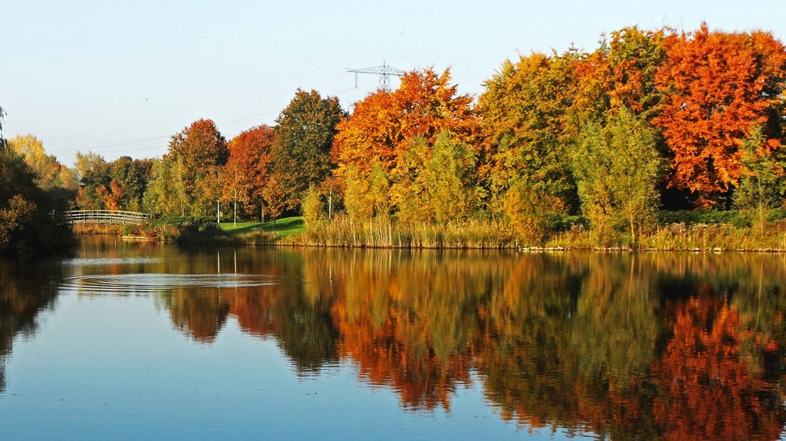 Het park in Wierden