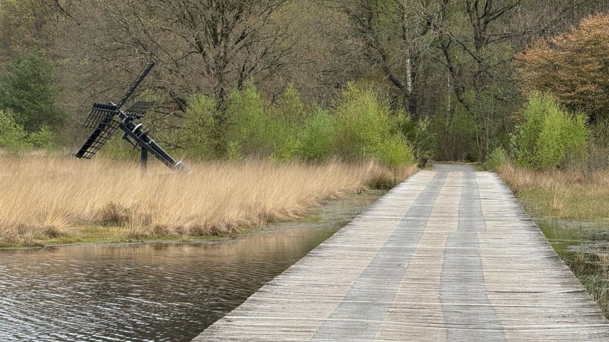 Bruggen, vlonders en uitkijkpunten in Drenthe krijgen opknapbeurt