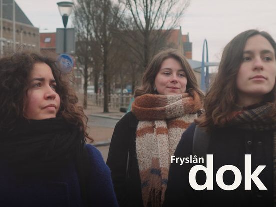 Ynternasjonale studinten Campus Fryslân nei stúdzje aktyf foar de demokrasy