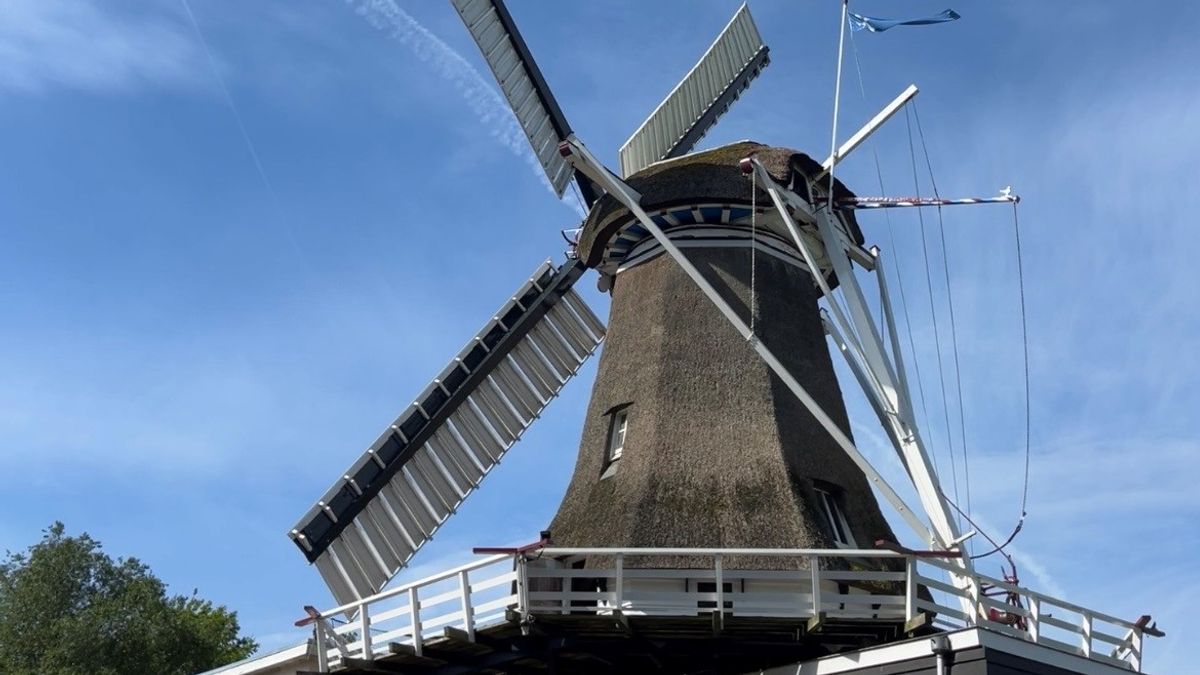 Wie wil molenaar worden? Er is een grote behoefte in Fryslân
