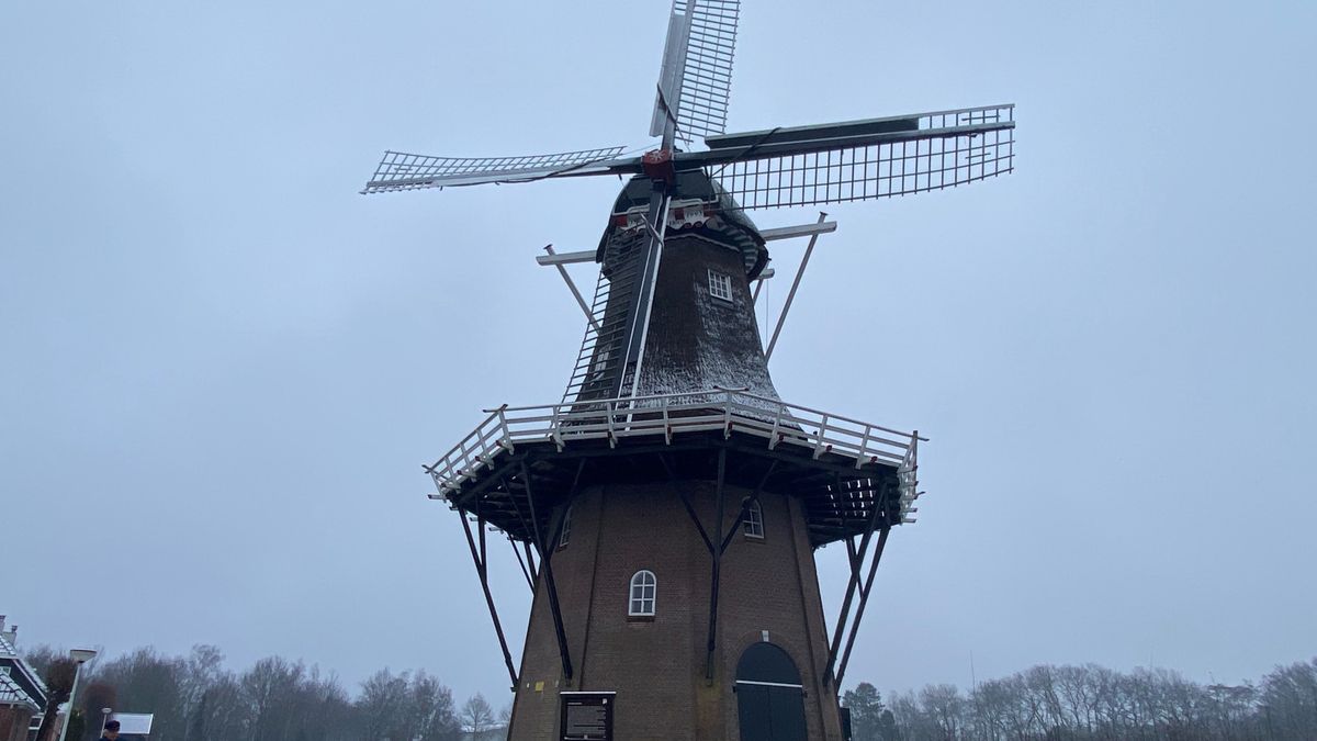 Gaten in rieten kap: molen De Hoop in Sumar is dringend aan onderhoud toe