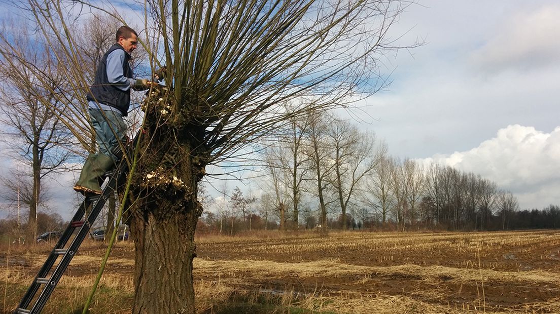 'Het is leuk werk, mooi weer en je hebt direct resultaat van je werk', zegt Bert Wolters met een brede grijns op zijn gezicht.