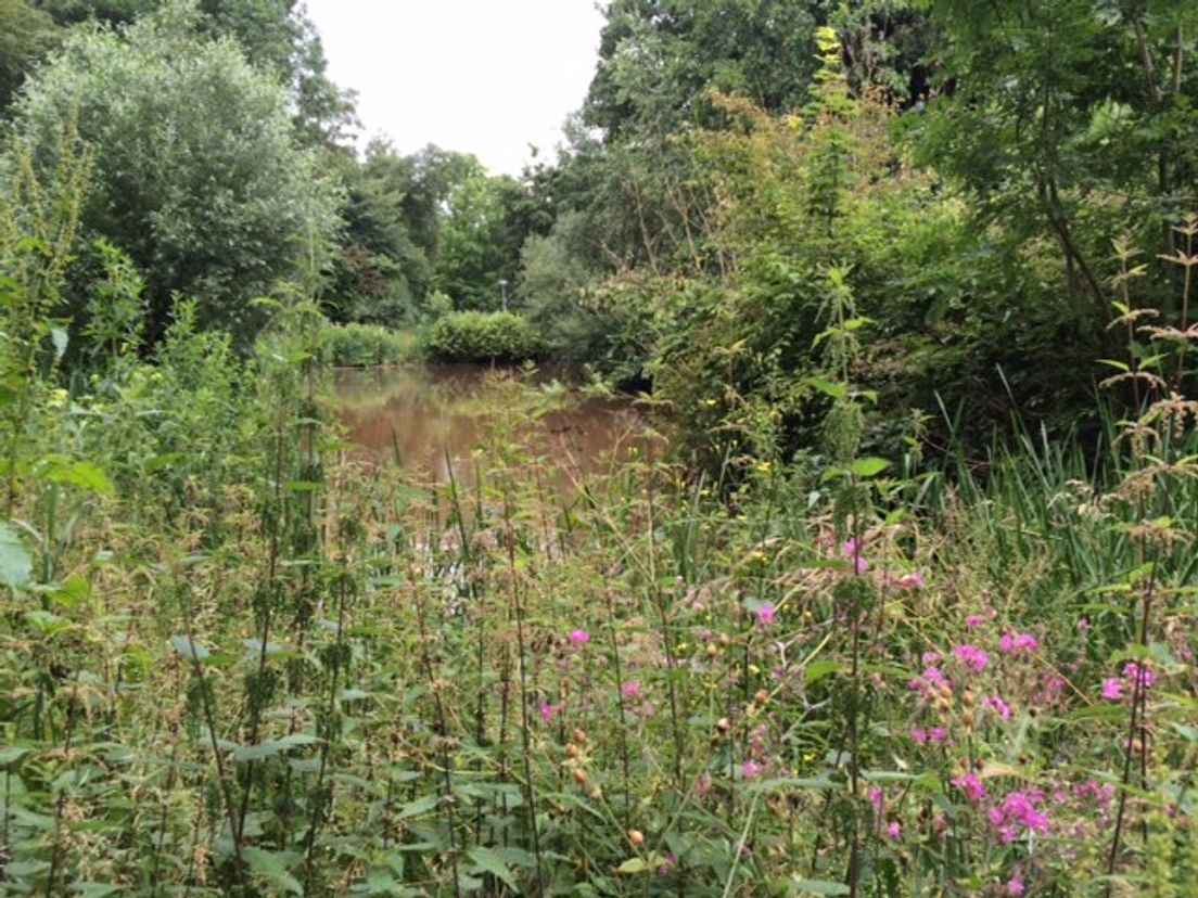 Wijktuin Ommoord Rotterdam