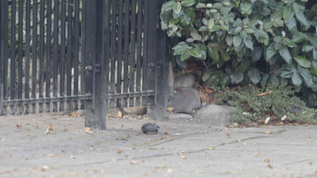 Handgranaat bij hek van woning aan de Mensinkweg in Nijverdal