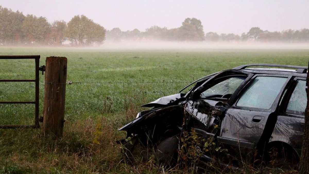 Automobilist verliest macht over stuur en botst tegen boom bij Reutum