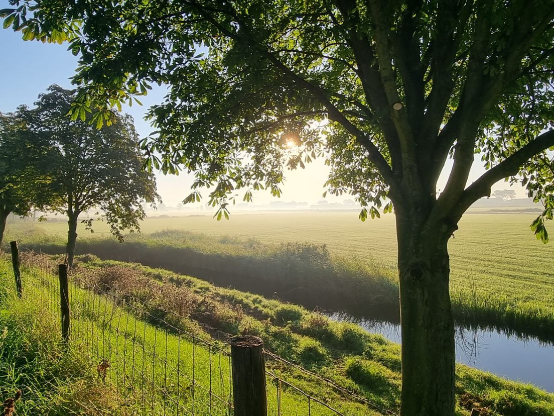 De temperatuur gaat dik in de twintig graden