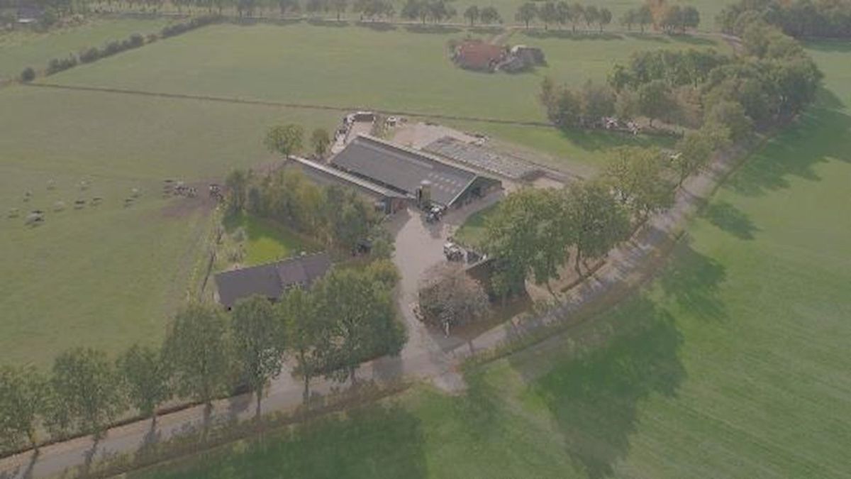 Experiment in Sint Isidorushoeve moet van koeien kunstmestproducenten maken