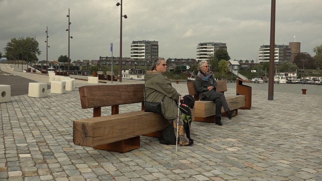 De nieuwe Waalkade moet gebruiksvriendelijker zijn voor mensen met een beperking.