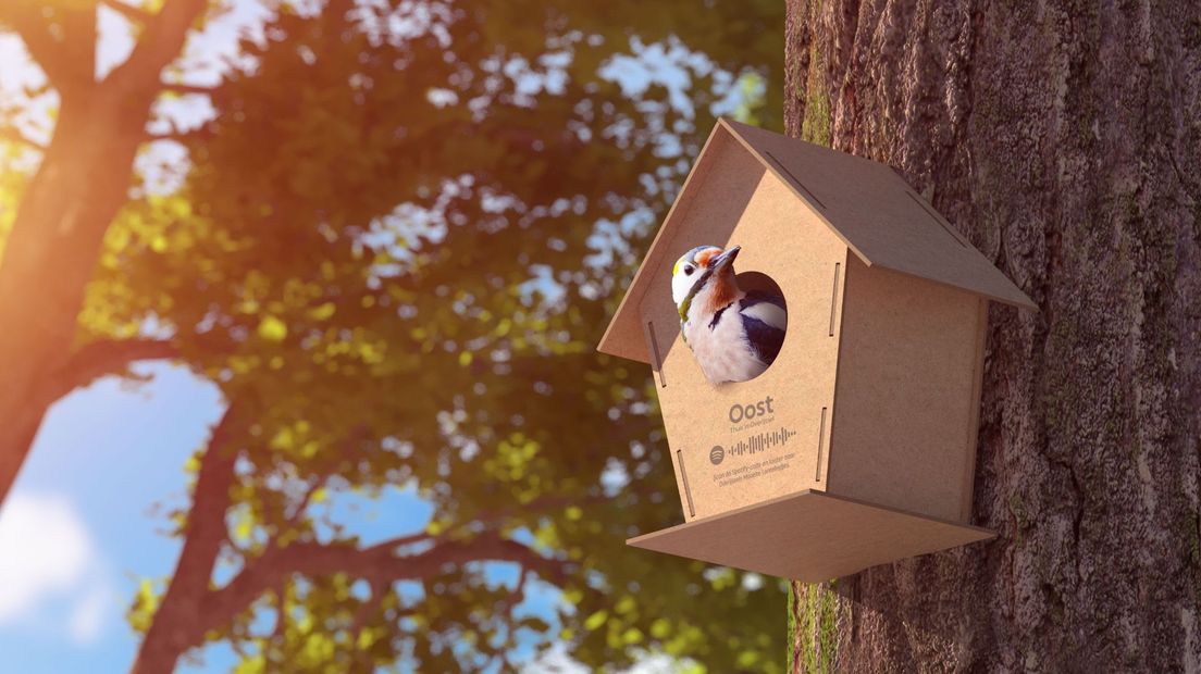 Thuis in Overijssel-vogelhuisje