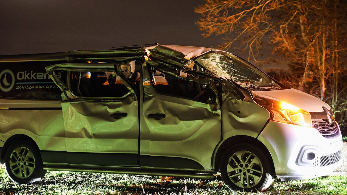 Bestelbus botst tegen boom bij Eastermar, bestuurder aangehouden