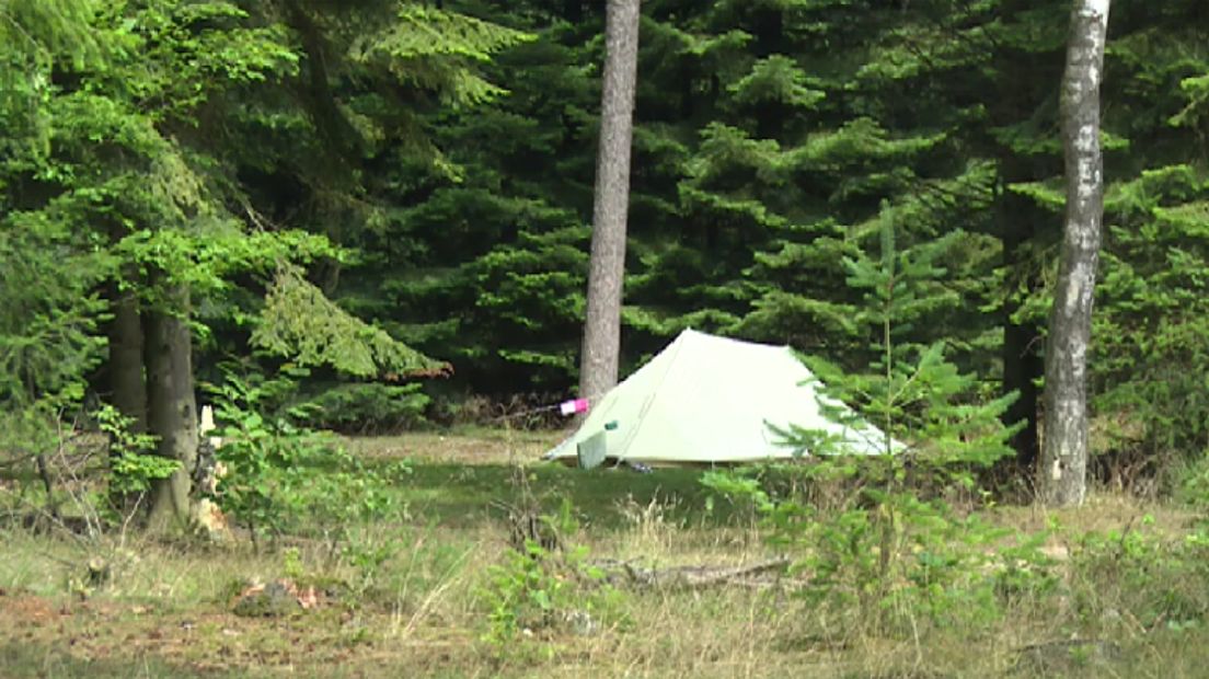 Een eenzame tent op het natuurkampeerterrein in de bossen bij Borger (Rechten: Jan Dijk / RTV Drenthe)