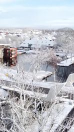 Drents winter wonderland