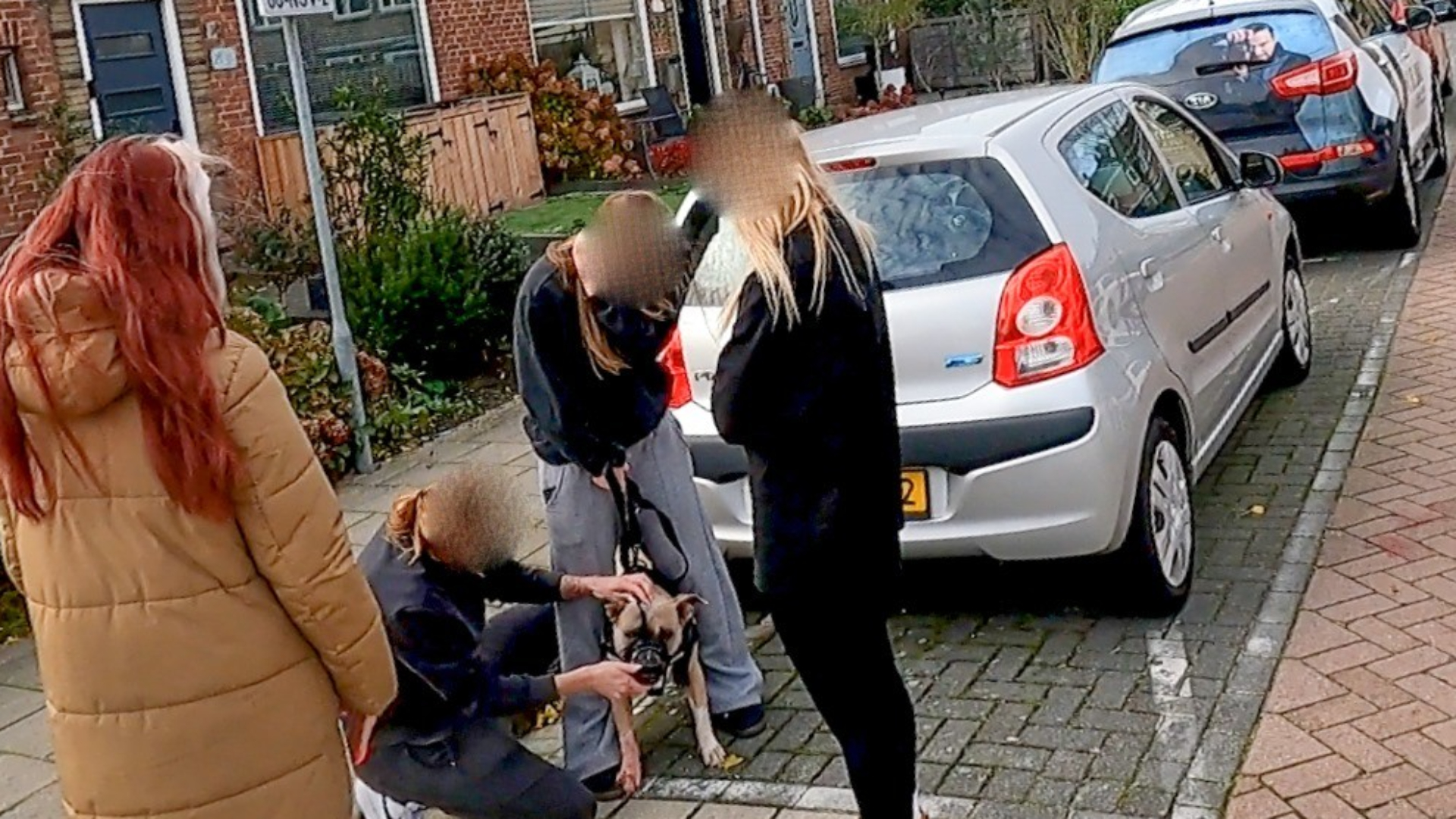 Een buurtbewoner denkt op basis van de bijtwonden dat slechts één hond daadwerkelijk heeft gebeten.