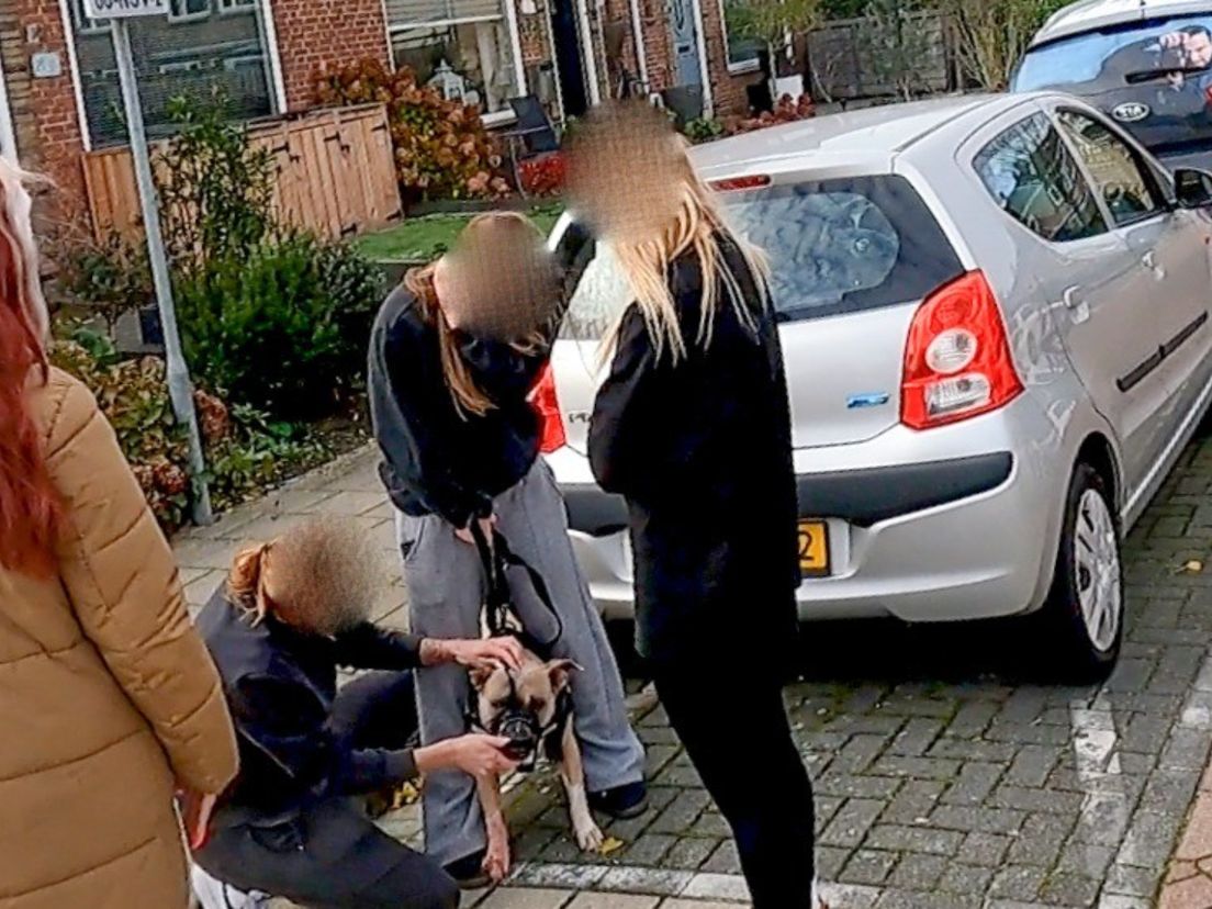 Een buurtbewoner denkt op basis van de bijtwonden dat slechts één hond daadwerkelijk heeft gebeten.