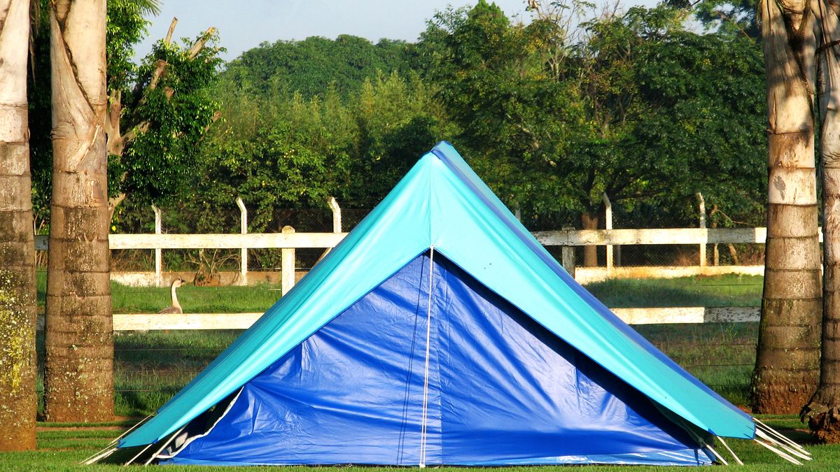 Bestemmingsplan De Molenkamp Zeegse vastgesteld