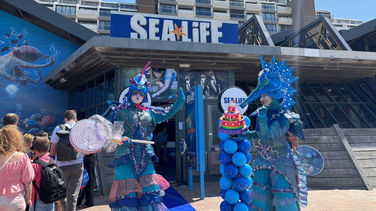 SEA LIFE Scheveningen heropent na grootste verbouwing ooit: 'Alles is verbeterd'