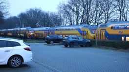 Geen treinen tussen Ede en Utrecht • winkeldieven gezocht