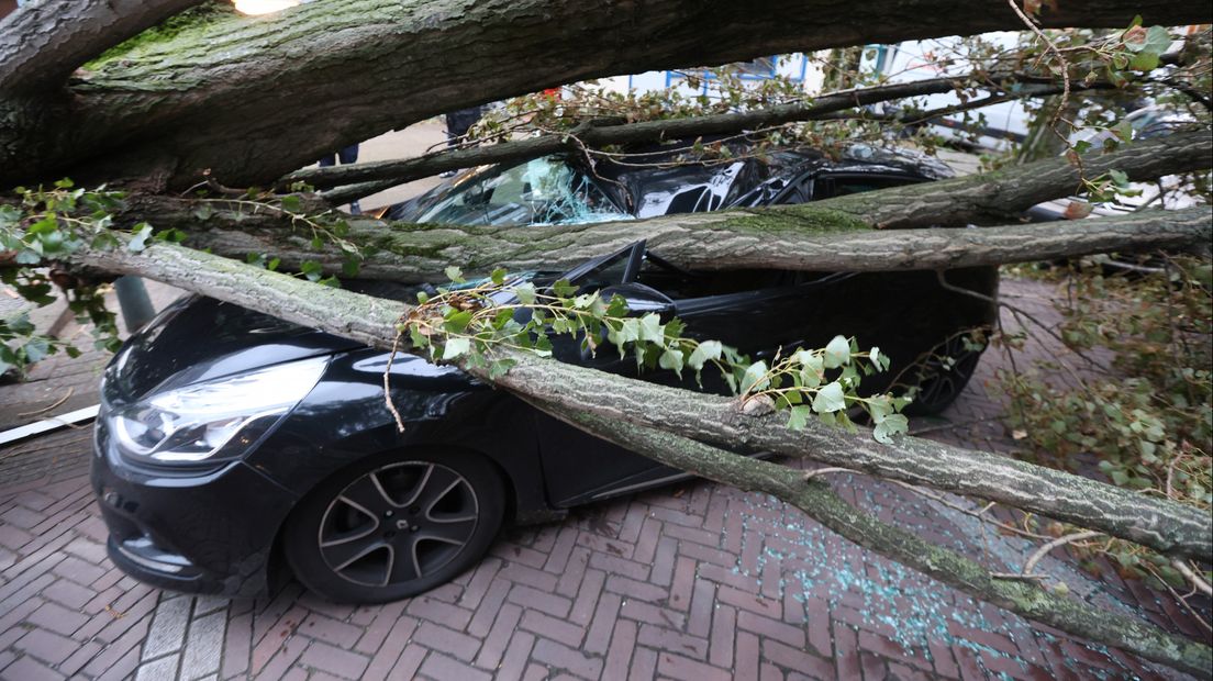 De boom die op een auto aan de Tak van Poortvlietstraat in Den Haag is gevallen