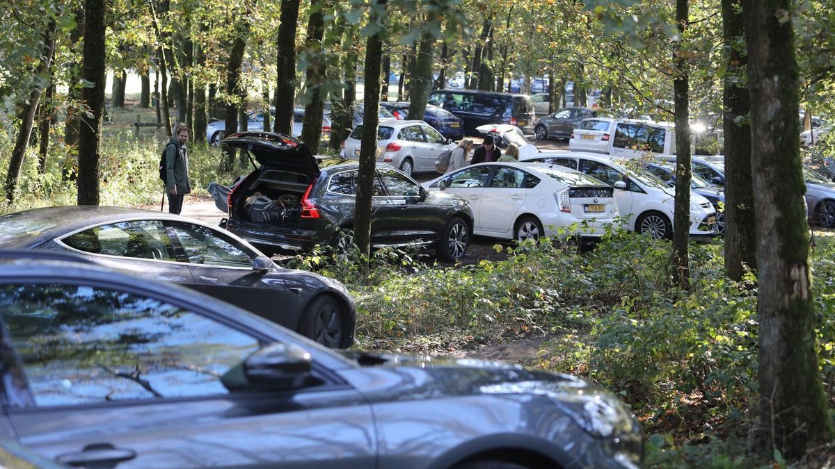 Te druk in Lage Vuursche: gemeente sluit recreatiegebied af voor auto's