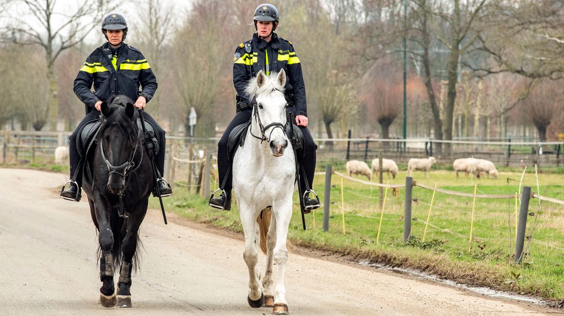 Politie zoekt met paarden, honden en helikopter naar het vermiste meisje