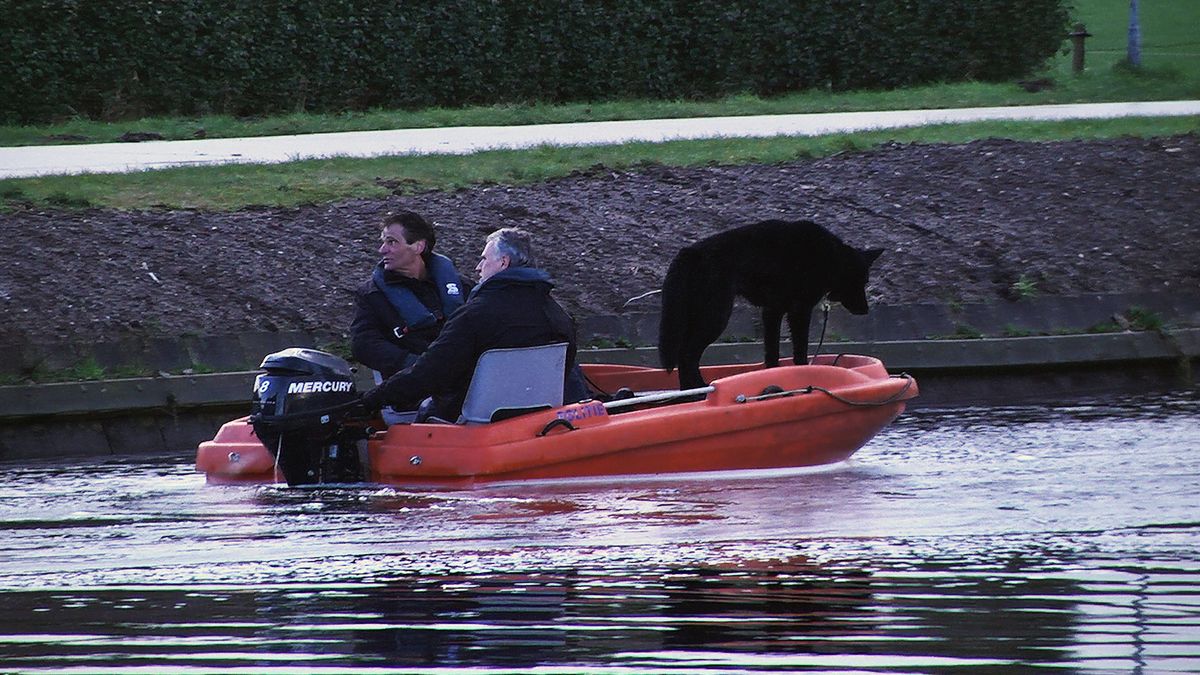 Zoekactie naar vermiste man (81) gaat verder: honden en sonarboot ingezet