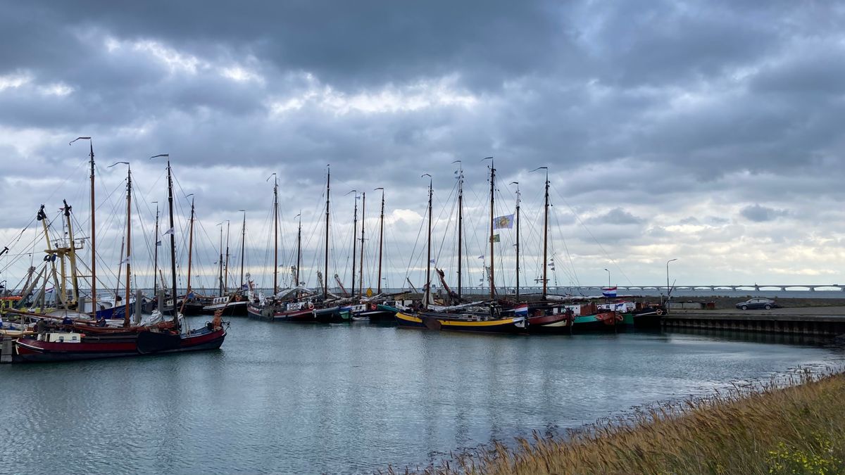 Bietentocht vaart haar 26e editie, 'Het was een heerlijke dag vandaag'