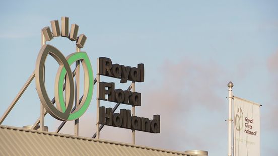 Ondernemers zien nieuwe kansen voor bloemenveiling in Eelde