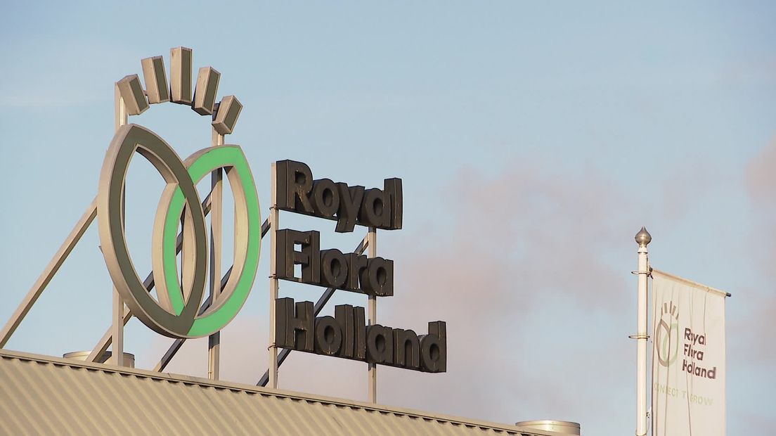 Ondernemers zien nieuwe kansen voor bloemenveiling in Eelde