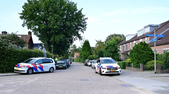 Gekantelde vrachtwagen A15 • Veulen ernstig mishandeld. Gekantelde vrachtwagen A15 • Veulen ernstig mishandeld.