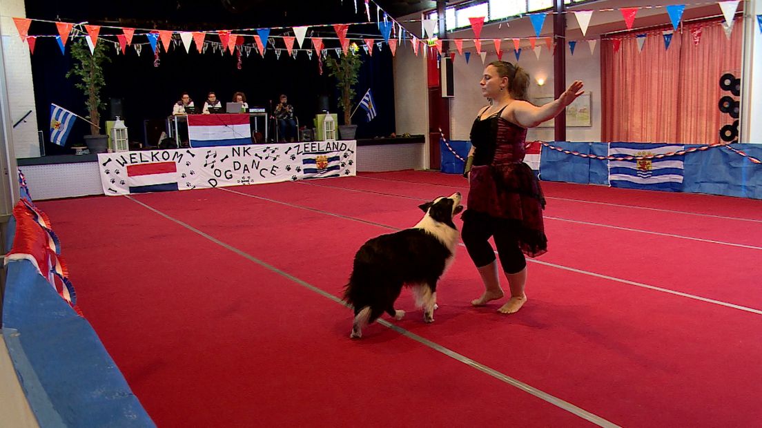 Belgische deelnemers tijdens NK Dog Dance