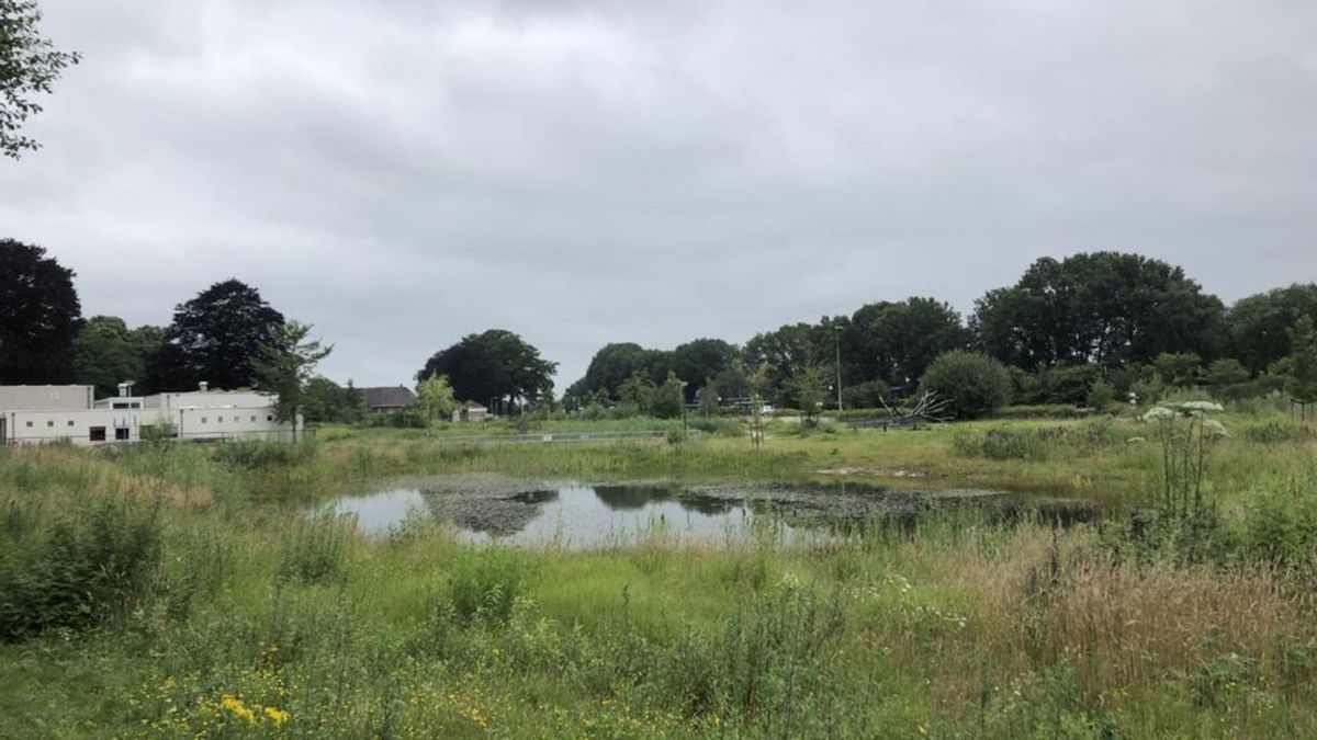 Nieuwe woonwijk in Lievelde kost gemeente Oost Gelre ruim 6 ton