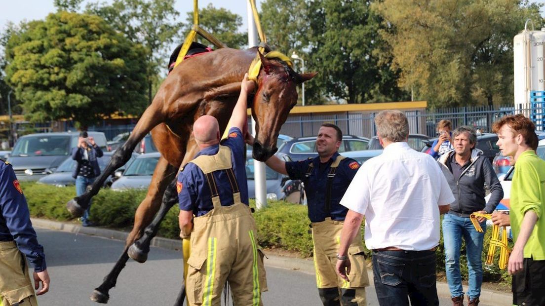 Reddingsactie paard in Aadorp