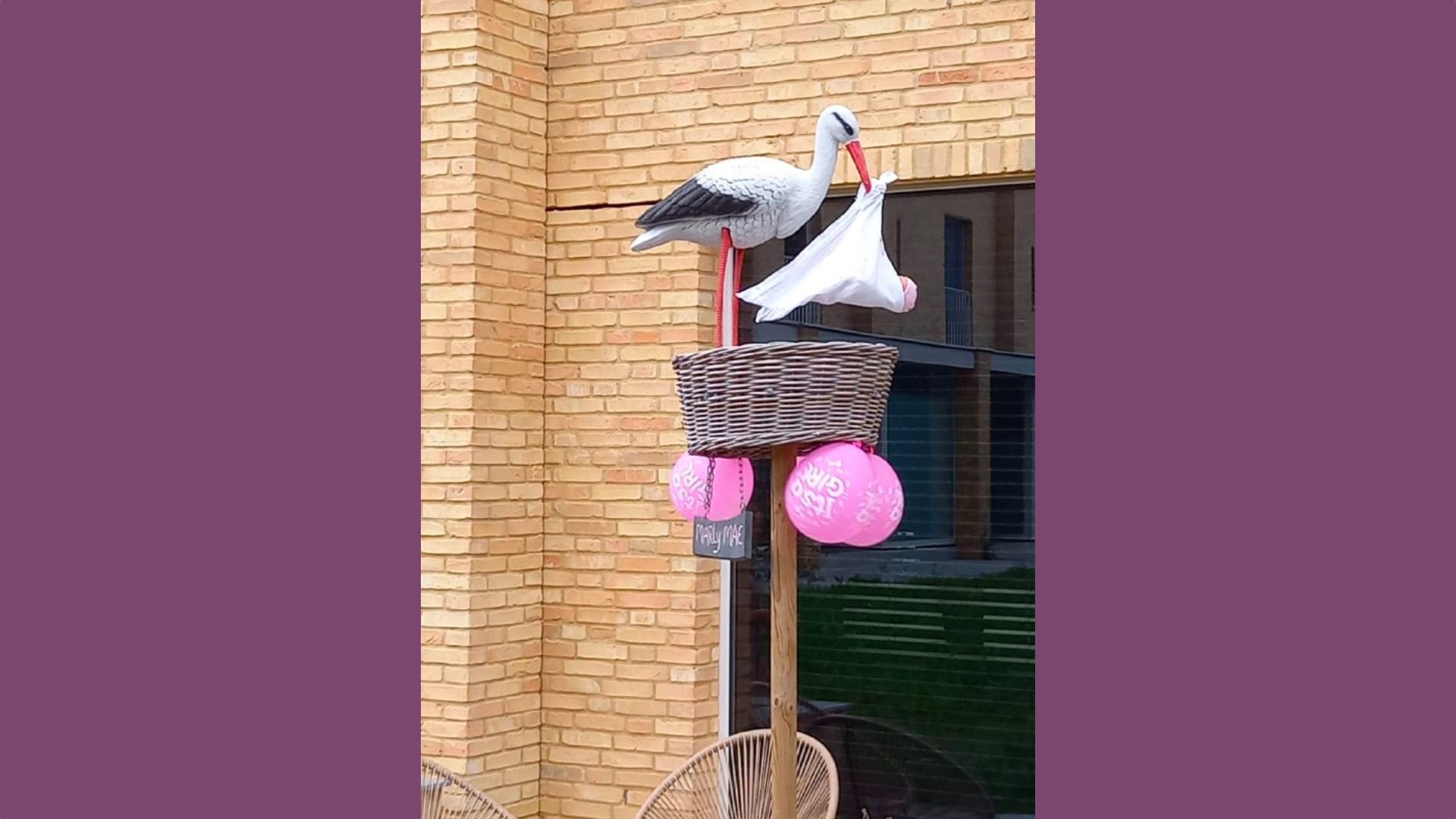 Ooievaar uit tuin in Stad geroofd: 'Respectloos' - RTV Noord