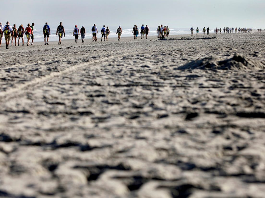 strand1.cropresize.tmp.jpg