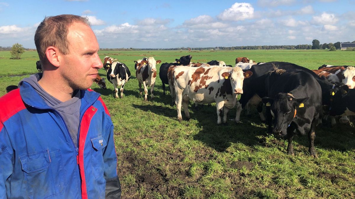 Bioboer uit Rotstergaast niet bij boerenprotest: 