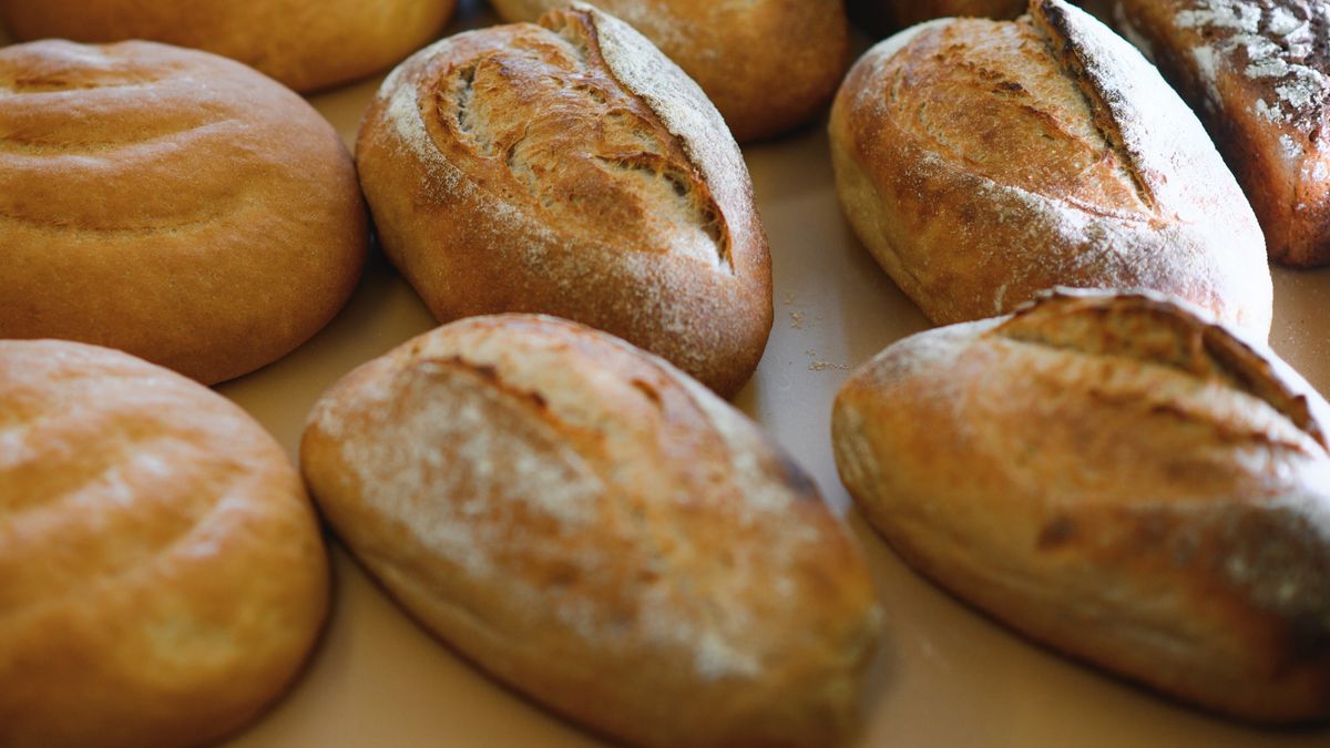 Deze Friese bedrijven gingen failliet in oktober