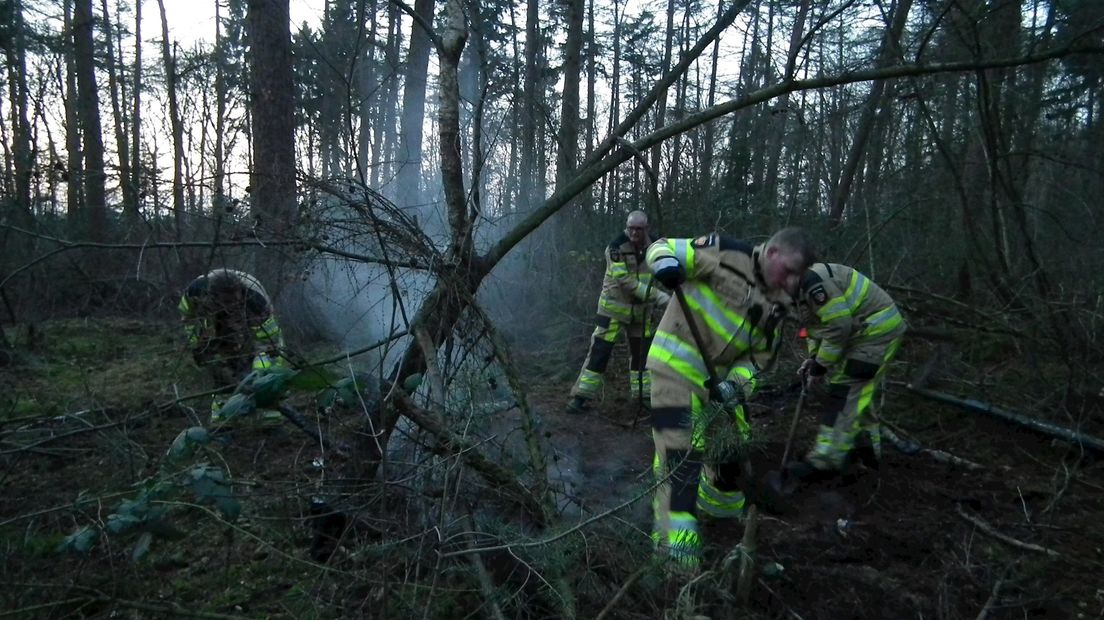 Bosbrand Dalfsen