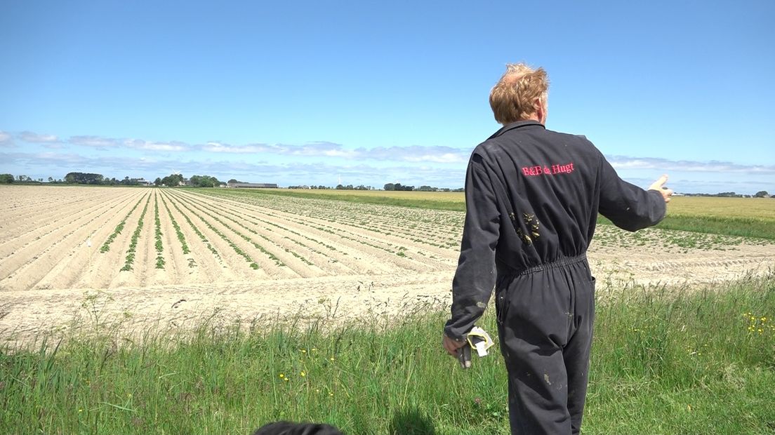 Willem geniet van de horizon in Ulrum