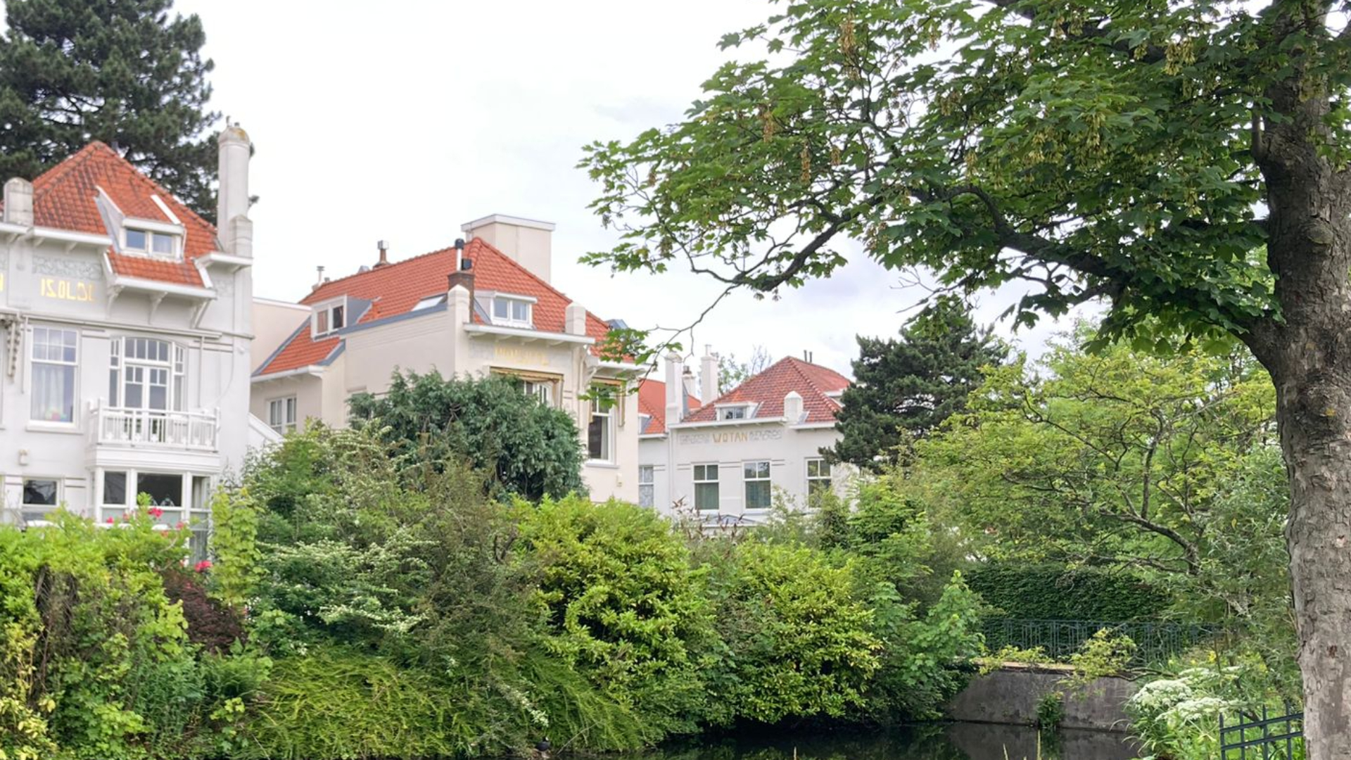 Witte villa's aan de Vijverlaan in Rotterdam.