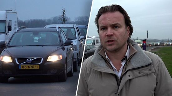 Gratis fruitbomen voor Tielenaren: een stap naar vergroening