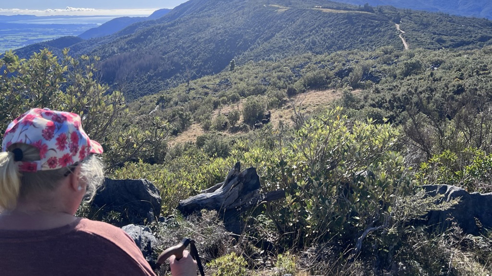 Bovenop Takaka Hill