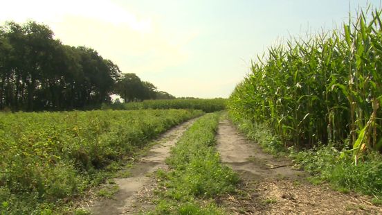 En de boer... verhalen van boeren over hun toekomst