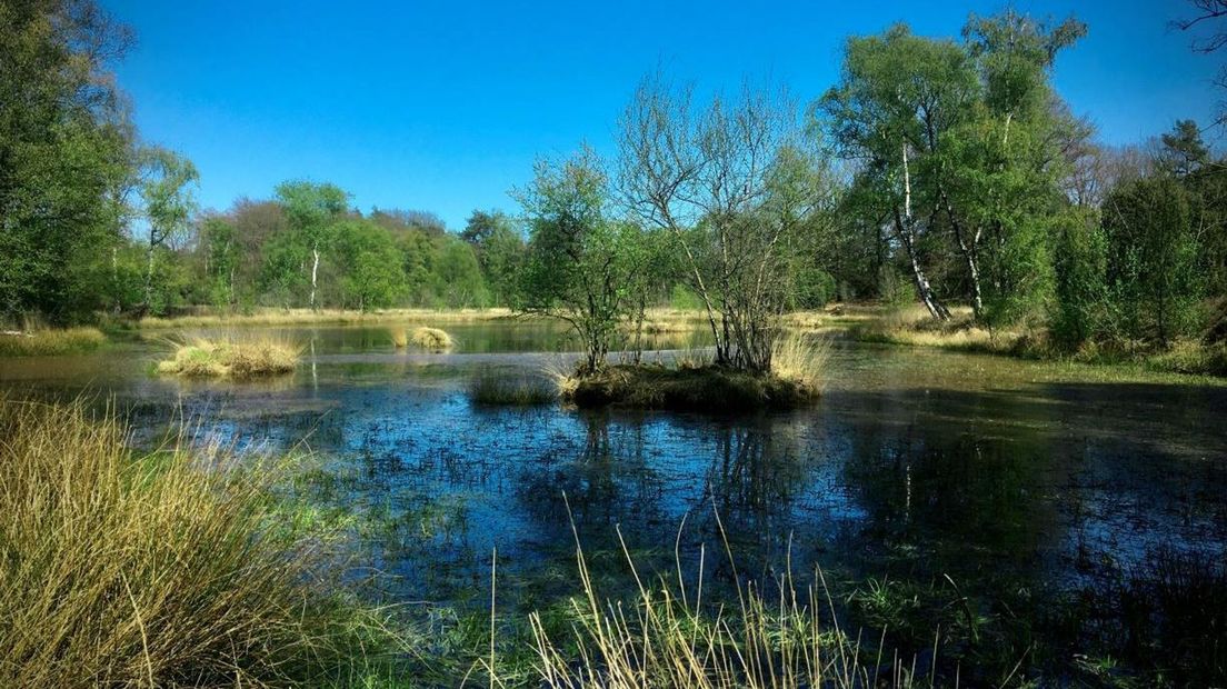 Het Buurserzand bij Haaksbergen