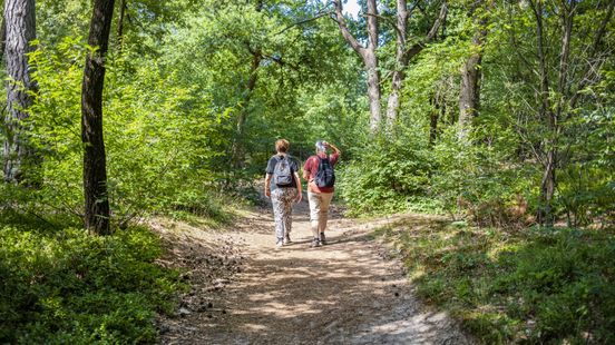 Foto: 'Alsof er een bom is ontploft', natuurgebied volledig op de schop