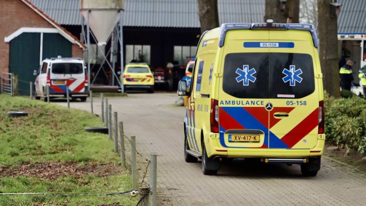 Traumahelikopter opgeroepen voor veearts die trap kreeg van koe in Tilligte