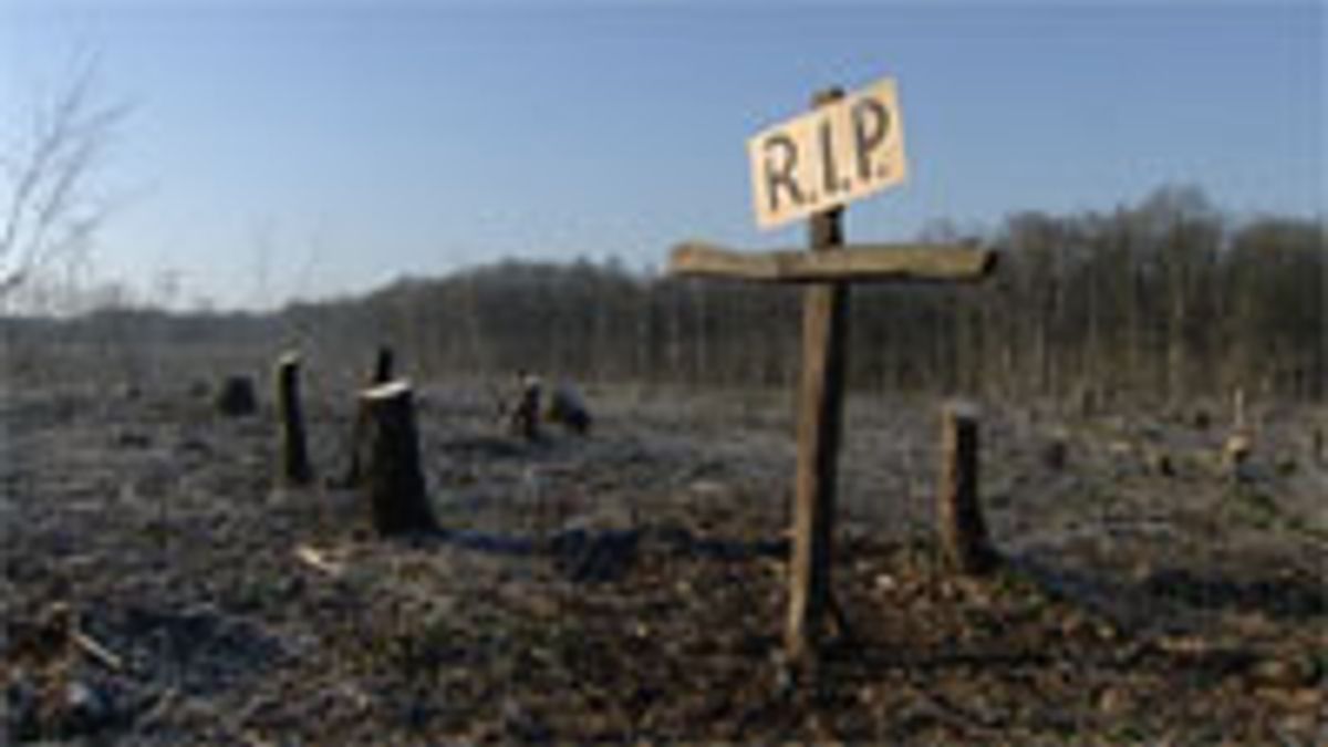 Nimby-procedure Schinveld definitief van tafel