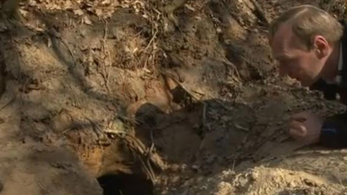 Verstoorde dassenburcht is verlaten