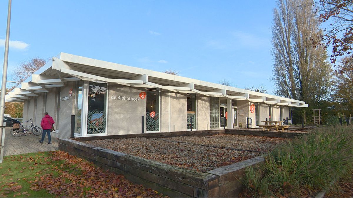 Lemmer grijpt naast beste bibliotheekprijs