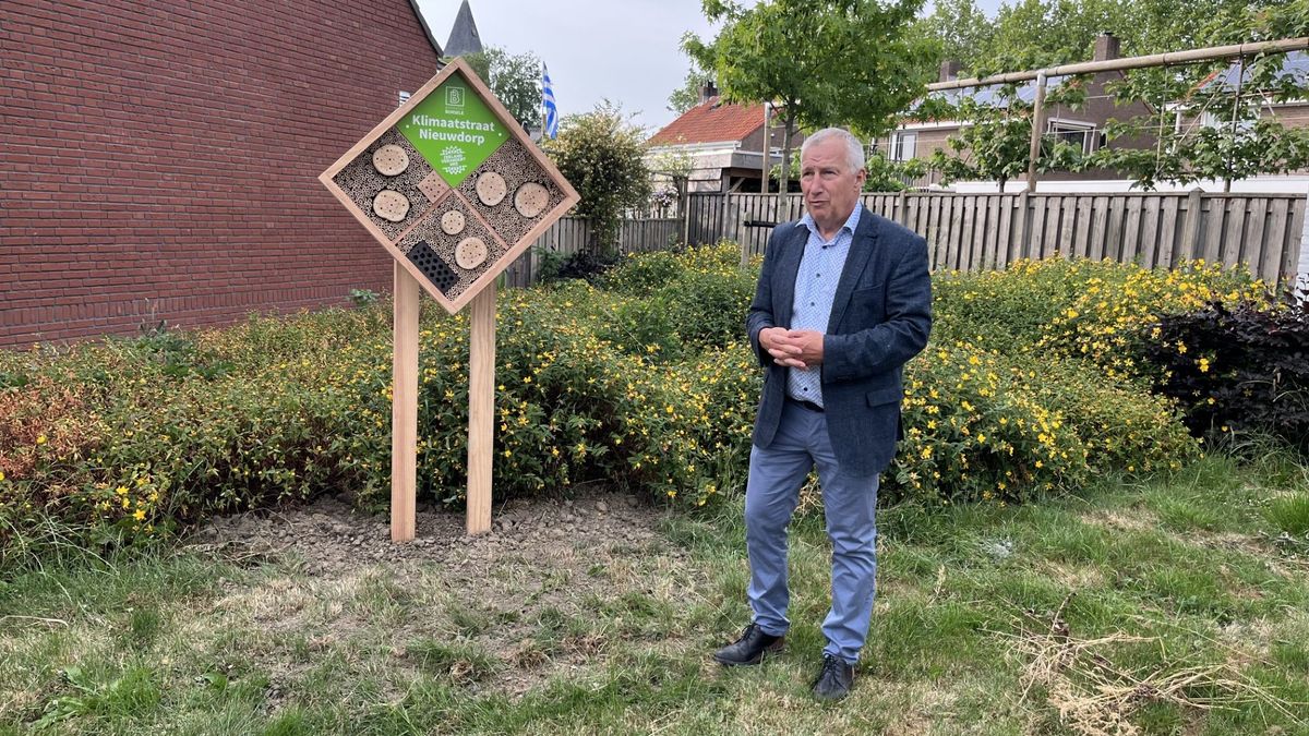 Klimaatstraat officieel geopend in Nieuwdorp: 'Of die echt efficiënt is, moeten we nog maar afwachte